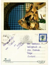 CPM AK TUNISIA TUNISIA Best Wishes from (258129)