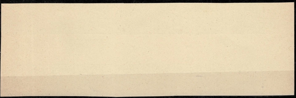 Argentina Buenos Aires 1858 block☀ Old Reprint ☀ MNH** - Image 2 of 2