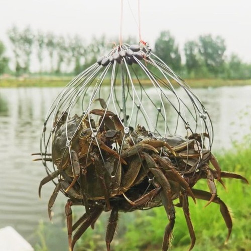 Filet de pêche automatique crabe fil d'acier poisson crabe cage eau salée eau de mer - Photo 11/22
