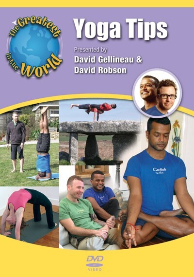 THE GREATEST IN THE WORLD YOGA TIPS DVD NEW SEALED DAVID GELLINEAU #PB