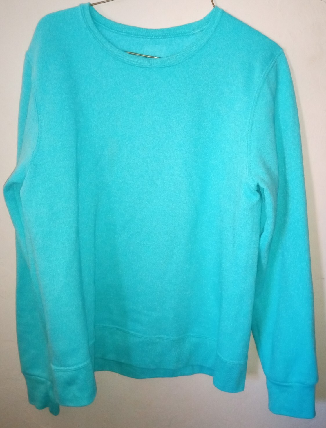 fruit of the loom light blue sweatshirt