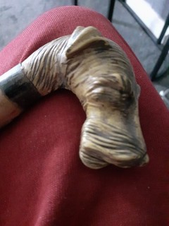 OLD CARVED DOG HEAD WALKIING STICK.