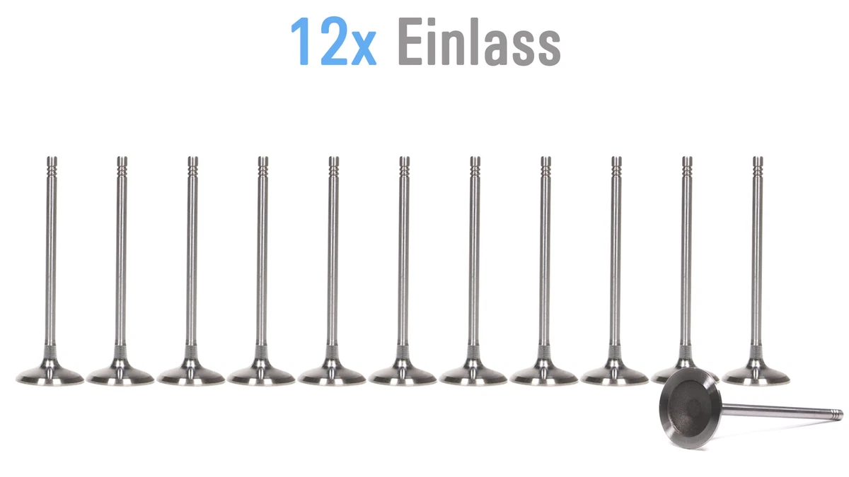 12x Einlassventile BMW X5 F15 F85 xDrive 40e 3,0 N55 N55B30A 