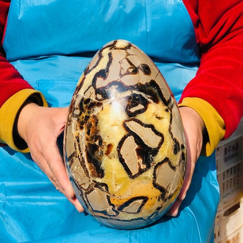 11.96LB Top Natural Dragon Septarian Crystal geode Quartz egg mineral Specimen - Picture 4 of 15