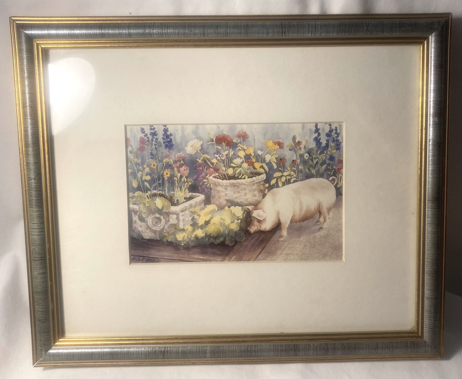Picture 5 of 12