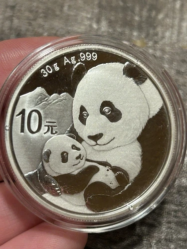 2019 China 10 Yn 30g Ag .999 Silver Panda Silver Coin UNC Round in Mint Capsule