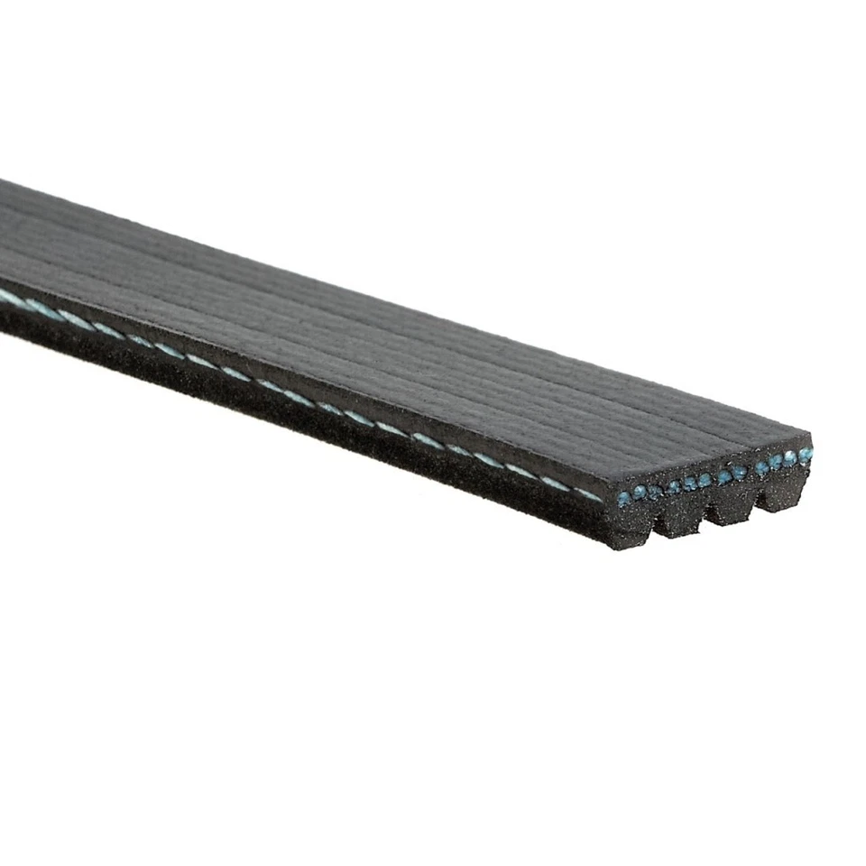 Cinturón Serpentine Original ACDelco Para Infiniti G35 2003-2007 0,56 Pulgadas Ancho Superior Foto 3 de 4