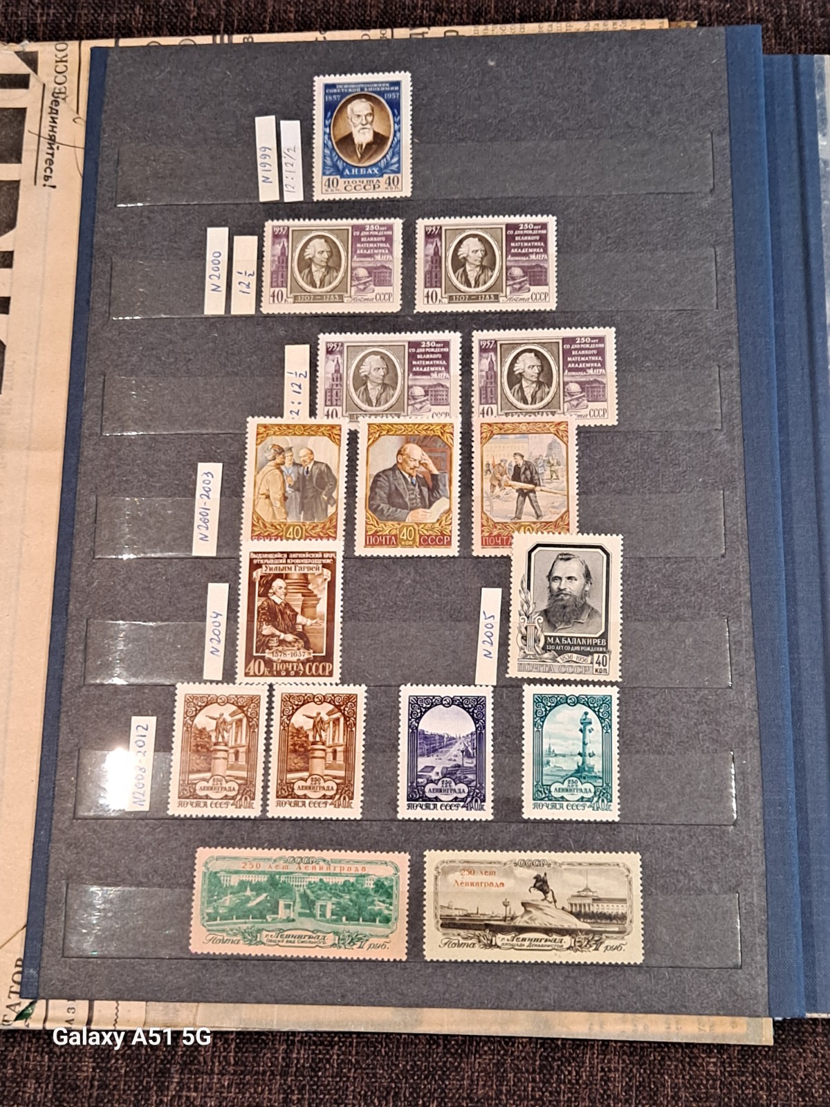 Picture 4 of 12