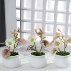 Lifelike Simulation Flower in Small Pot Easy to Manage for Long Term Decoration