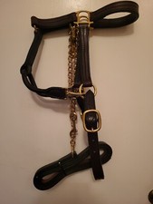 Leather full size Snap halter w/ 12in chain 6ft shank. Handmade