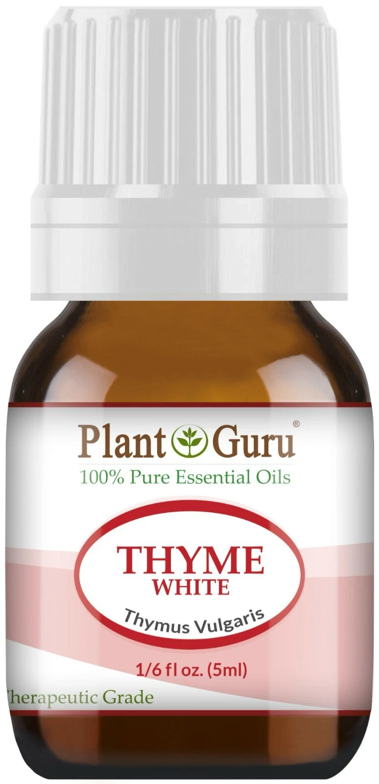 Thyme 