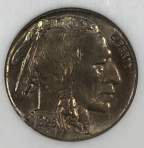 1929 Buffalo Nickel. .05. NGC MS65. Attractive.