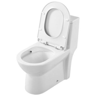 One-Piece Dual-Flush Elongated Toilet, 1.1/1.6 GPF, Comfortable Chair Seat, Easy