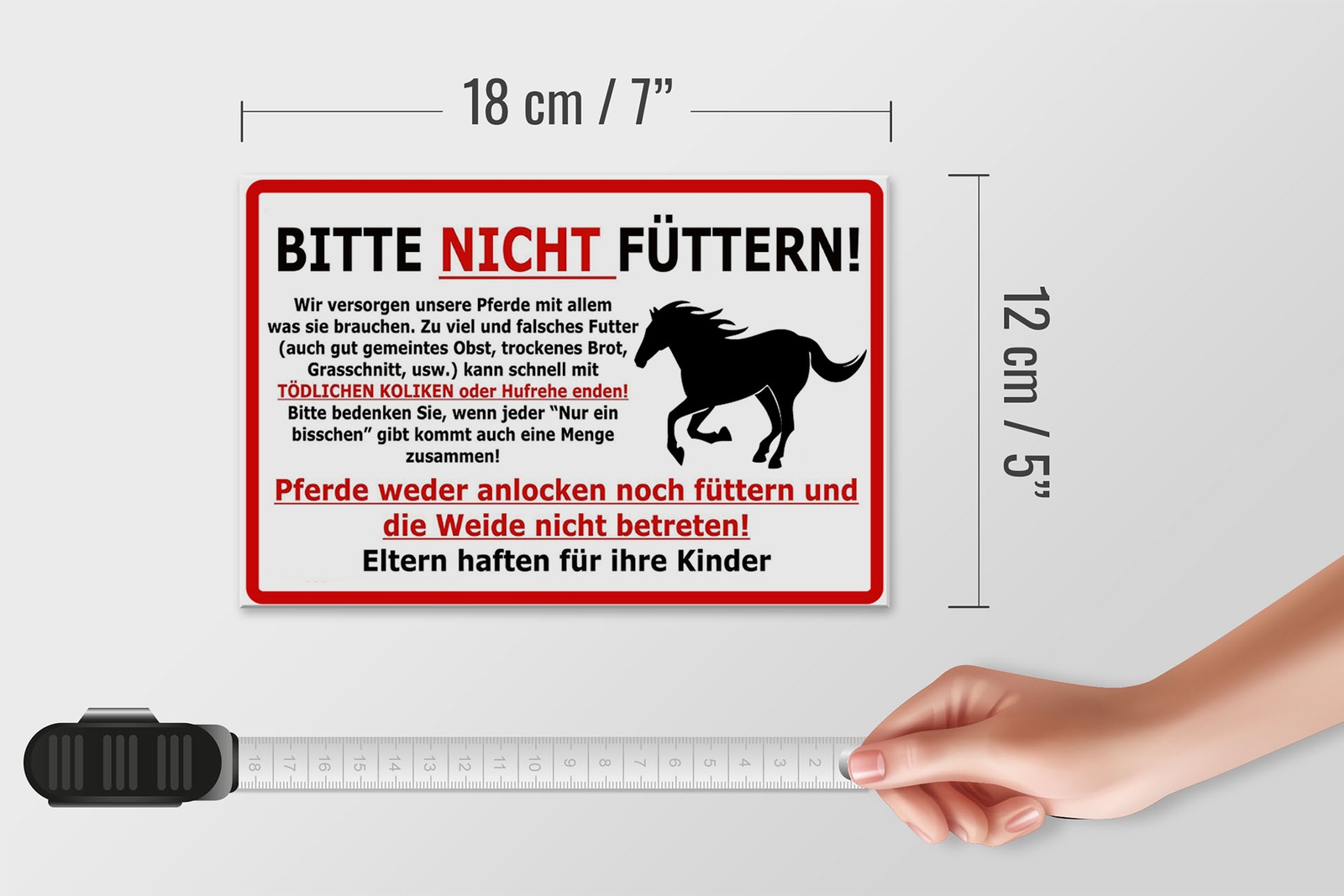 Bild 5 von 5