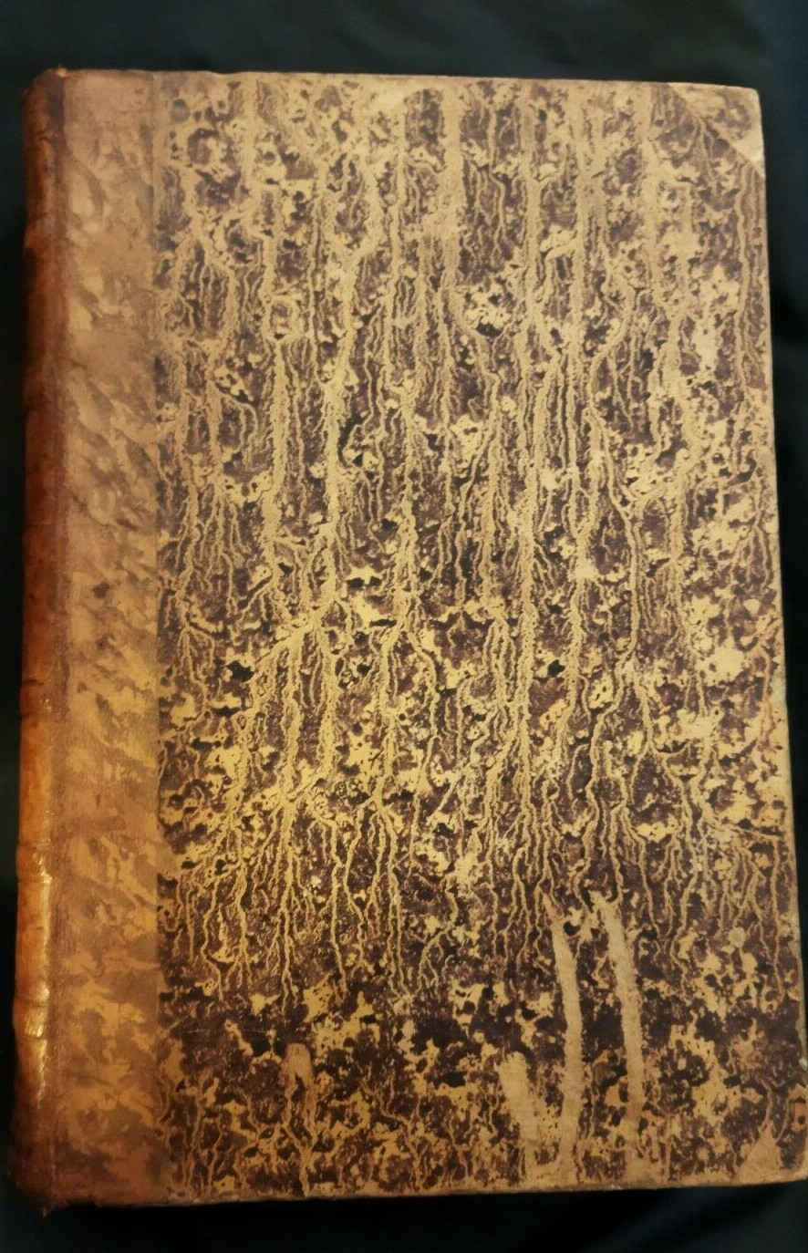 Picture 3 of 12