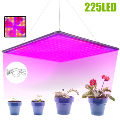 8500W LED Grow Light Panel Full Spectrum Lamp for Indoor Plant Veg ...