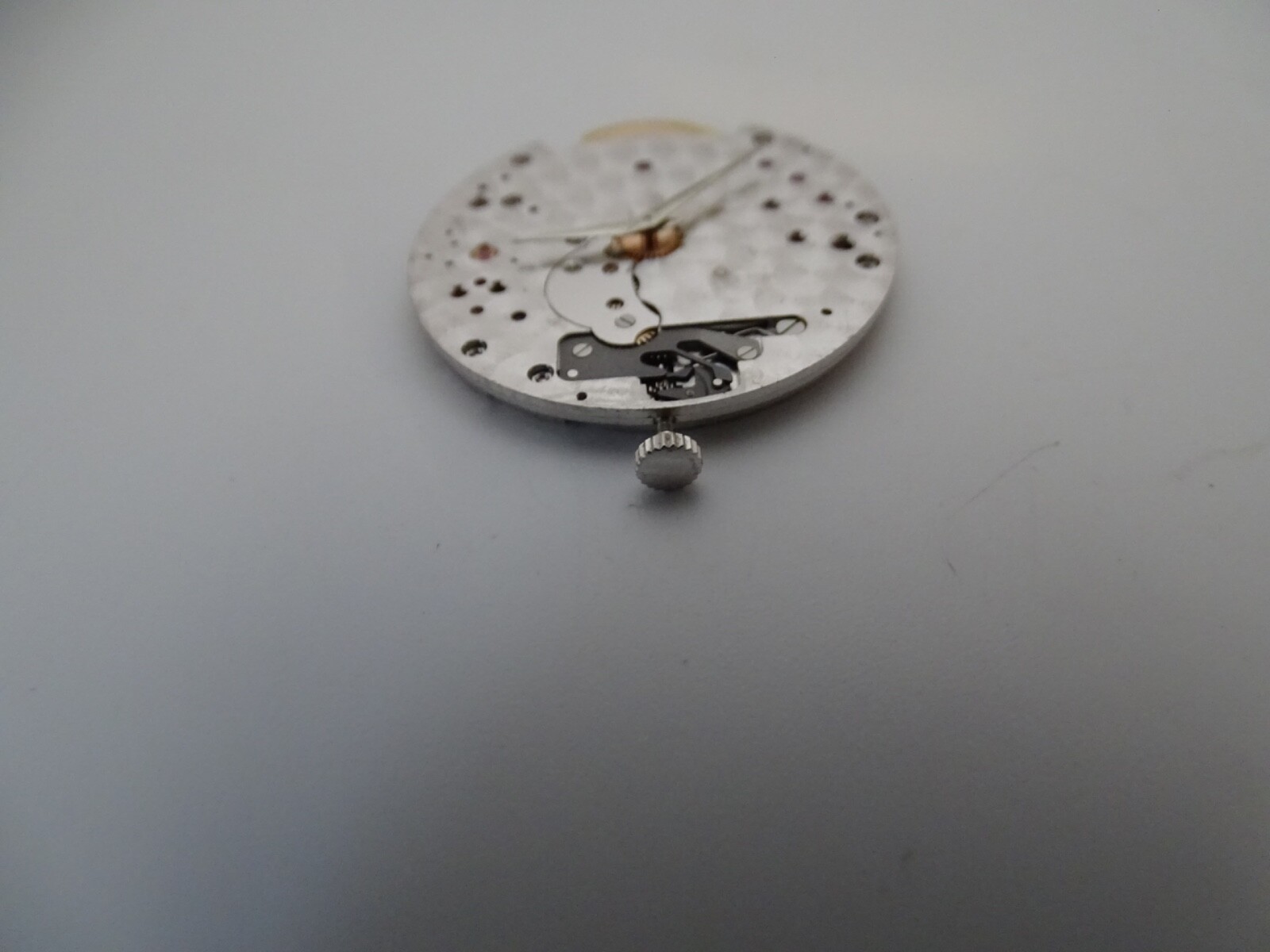 Picture 4 of 5