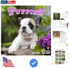 Puppies 2026 Wall Calendar 12  12" x 24" Open  Thick  Sturdy Paper  Gift...