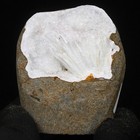 Afbeelding 12 van 13