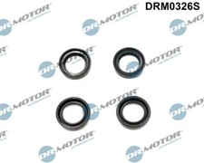 Dr.Motor Automotive DRM0326S Dichtringsatz, Einspritzventil für HYUNDAI,KIA