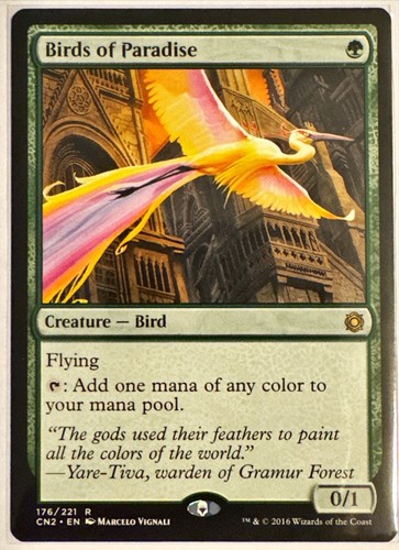 Birds of Paradise Conspiracy: Take the Crown