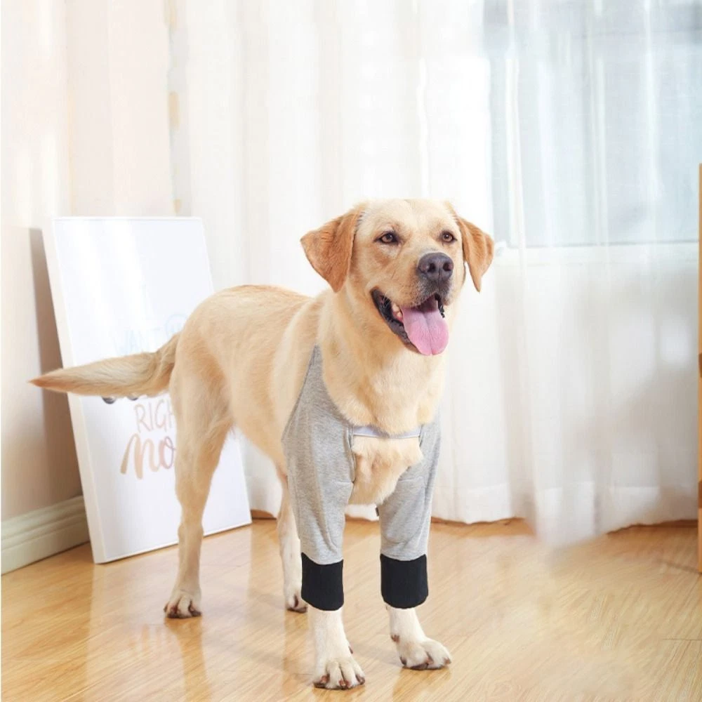 Dog Front Leg Braces Dog Elbow Protector Support Straps For, 60 OFF