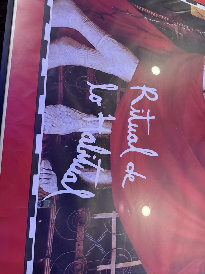 RARE BANNED VERSION HUGE JANE'S ADDICTION Ritual De Lo Habitual 1990 US POSTER - Image 4 of 4