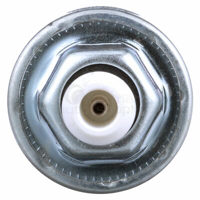 Delphi Ignition Knock (Detonation) Sensor AS10017
