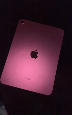 10th Generation ipad (Pink ) Wifi Only 64GB | eBay