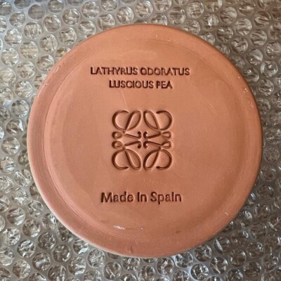 LOEWE Scented Candle Lucious Pea Essence 170g 30H Gift W/Box Japan