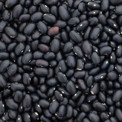 Black Turtle Bean 