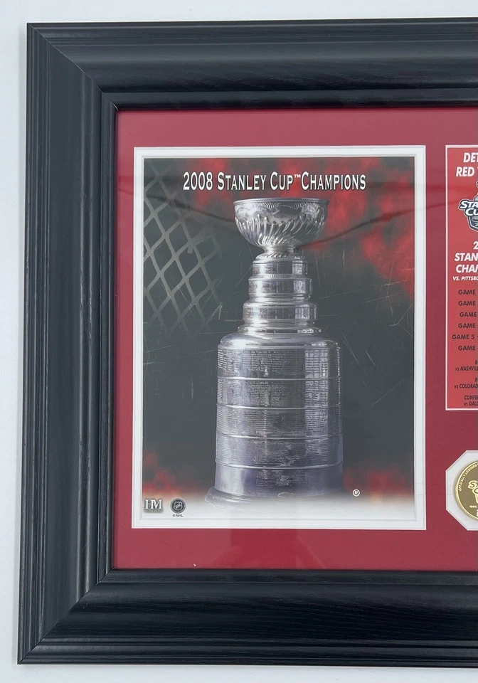 Placa Detroit Red Wings 2008 Stanley Cup Champions #0889 moedas de ouro/rede de jogo - Imagem 2 de 4
