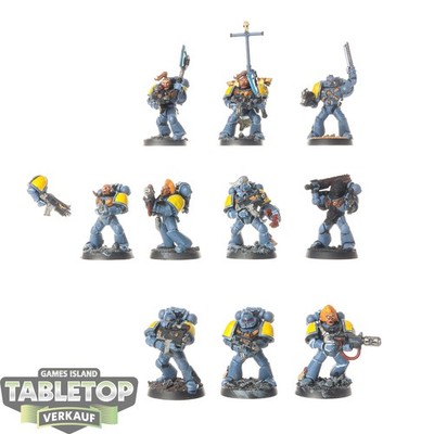 Space Wolves - 10 x Grey Hunters - bemalt