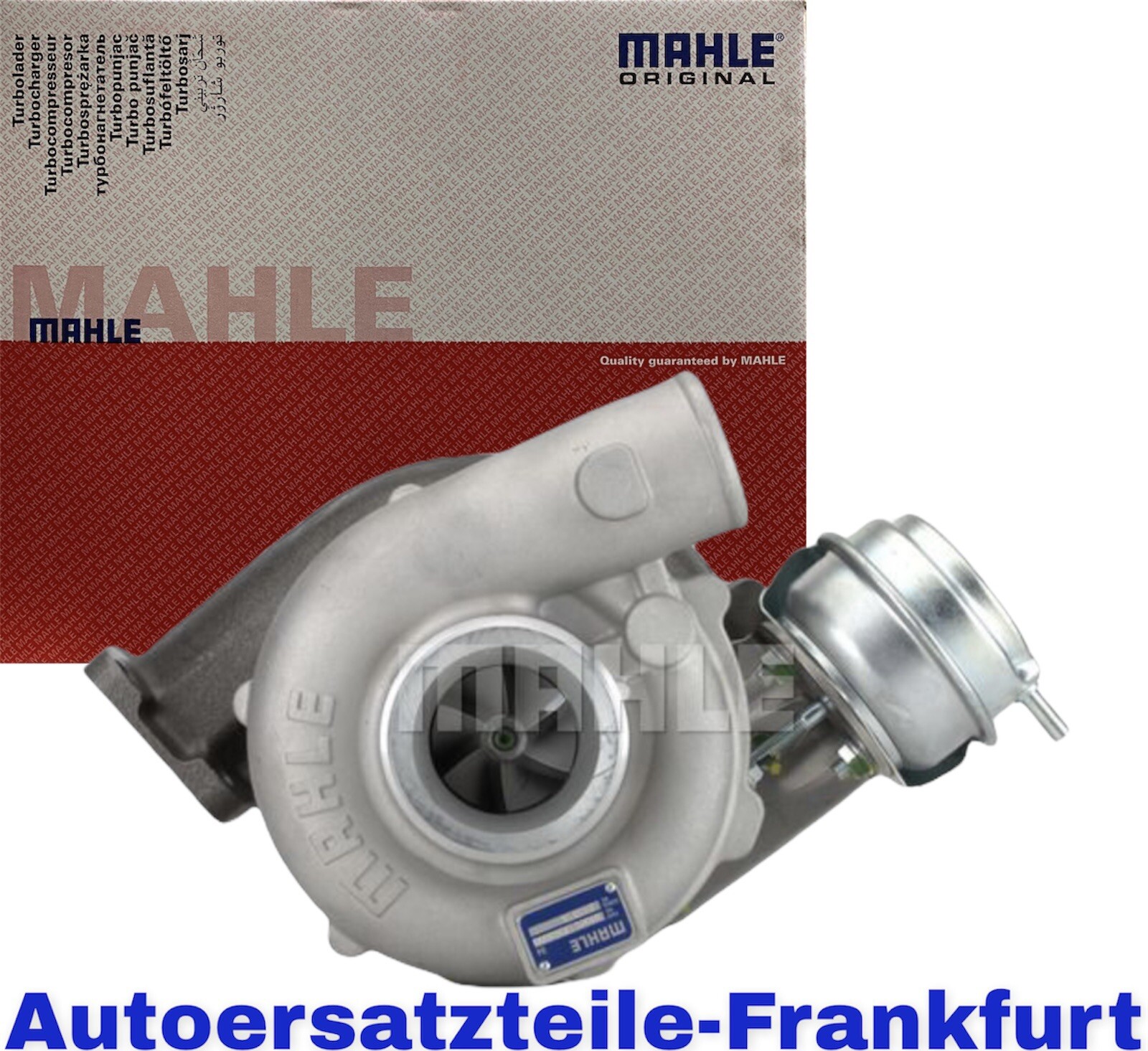 Bild 1 von 11