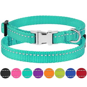miniature dog collars