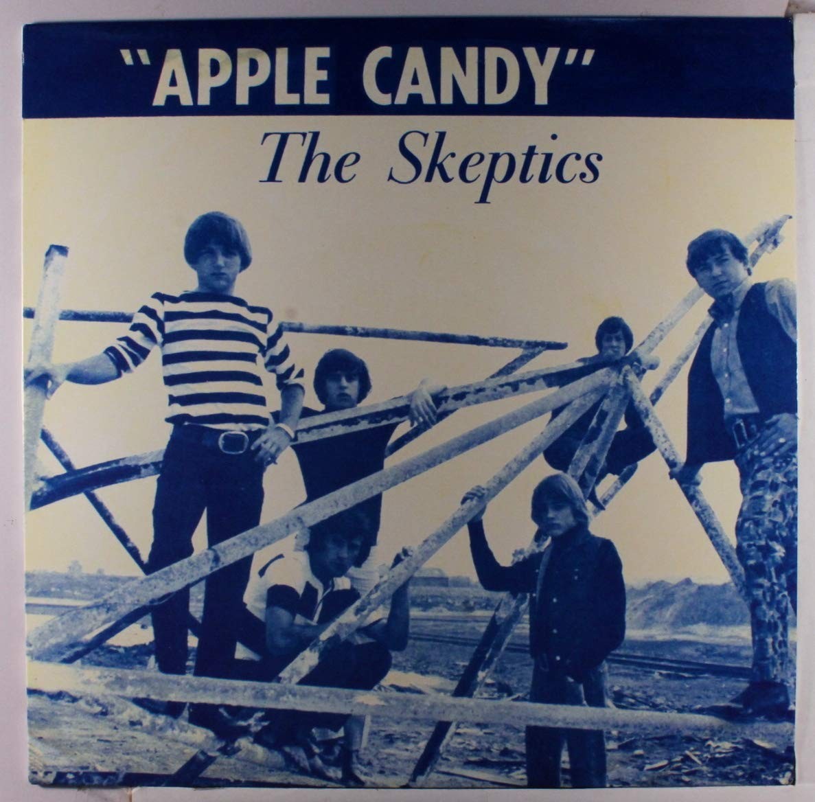 Skeptics (Usa) Apple Candy (Vinyl LP)