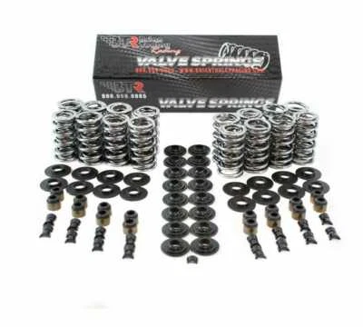 Brian Tooley BTR .660" Platinum Dual Valve Spring Kit - LS 4.8 5.3 5.7 6.0 6.2 - Bild 1 von 2