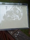 Bild 4 von 6