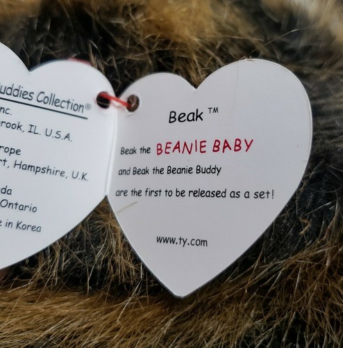 TY BEAK The Kiwi Bird Beanie Buddy Baby 9" (1998) (Ritirato) Soft Fuzzy Bird - Foto 8 di 10