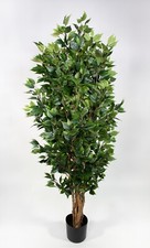 Ficus Nitida 180cm grün LA Kunstbaum Dekobau...