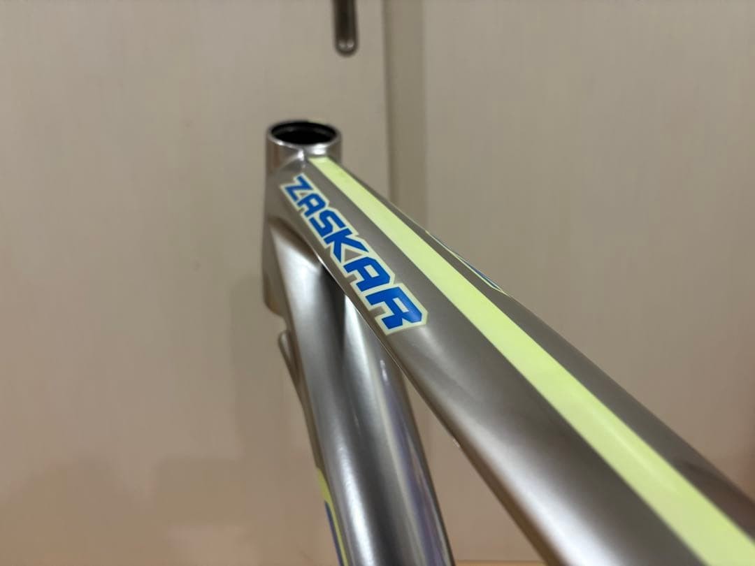 GT Zaskar Carbon Team Freme Set MTB 26” Unused Chrome L 510mm NEW