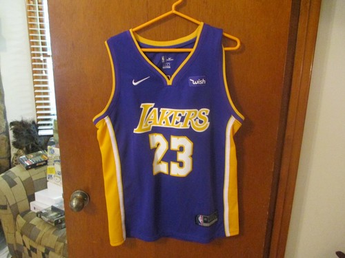 LEBRON JAMES AUTHENTIC LAKERS #23 