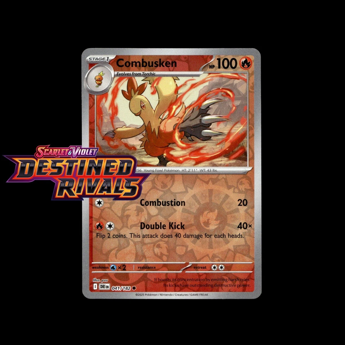 Combusken Pokémon TCG Cards for sale
