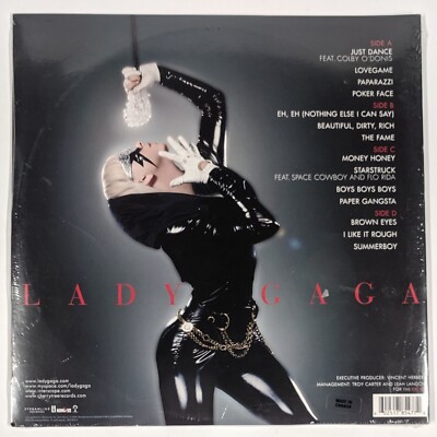 LADY GAGA FAME LP アナログ　レコード LADY GAGA FAME LP アナログ レコード