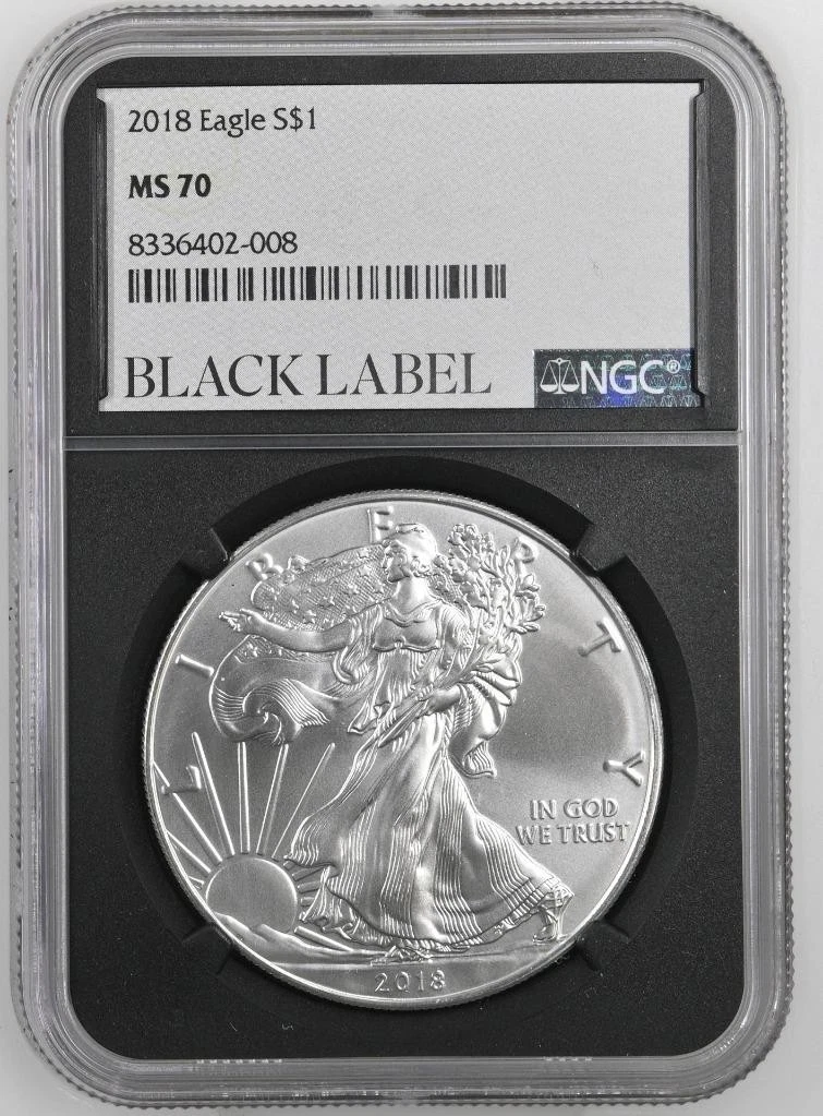 25+ American Eagle MS 70 Graded 2018 Silver Bullion Coins for sale