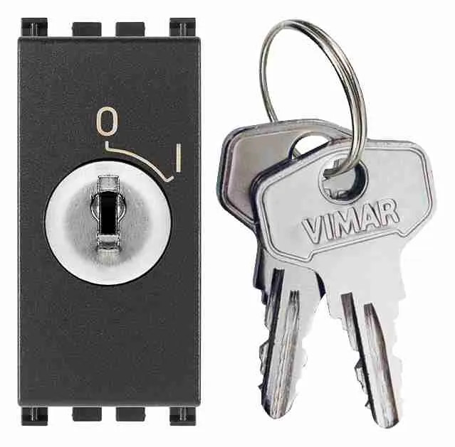 Interruttore Bipolare Vimar 19083 Arké Grigio 16AX con Chiave
