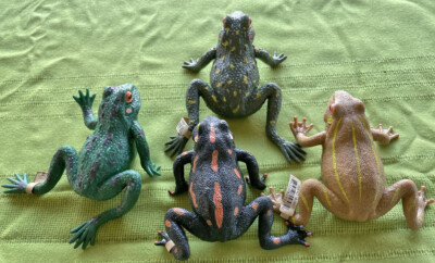 Stretchy Frogs with Beads Inside (4 Frogs) | eBay