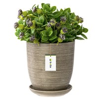 Blumentopf BlumenüBertopf Beton Blumenschale Mit Untersetzer Rund HöHe 26 Cm