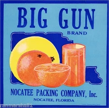Nocatee Florida Big Gun Orange Citrus Fruit Crate Label Art Print