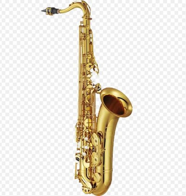 #ad #ad Yamaha YAS 875EXII Custom EX Professional Eb Alto Saxophone Gold Lacquered $5689.99